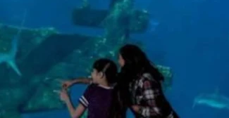 Las Vegas: Shark Reef Aquarium Entry Ticket at Mandalay Bay